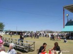 Cochise County Fair Grounds, Douglas AZ