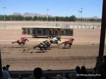 Cochise County Fair Grounds, Douglas AZ