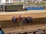 Central Wyoming Fair