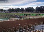 Central Wyoming Fair