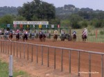 Gillespie County Fair racetrack, 2005