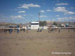 Elko County Fair