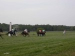 DSCN6332