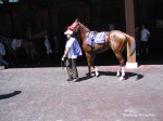 Arlington Park