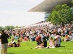 Arlington Million Day, Arlington Park 2006