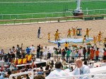 Arlington Million Day, Arlington Park 2006