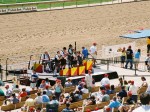 Arlington Million Day, Arlington Park 2006