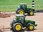 Arlington Million Day, Arlington Park 2006