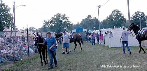 Van Wert Fair paddock