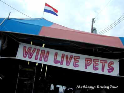 win live pets